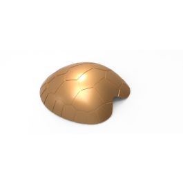 Turtle Shell 