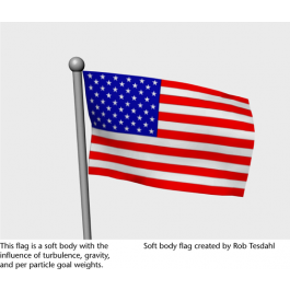 Capture The Flag Set