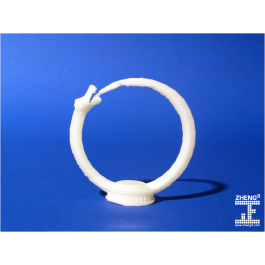 Seej Guardian, Ouroboros